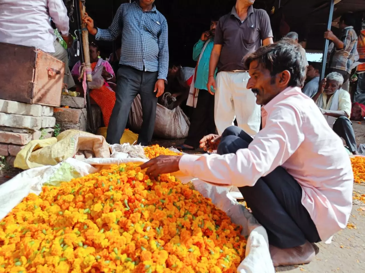 Flower farmers watch their profits wither as a scorching summer arrives early