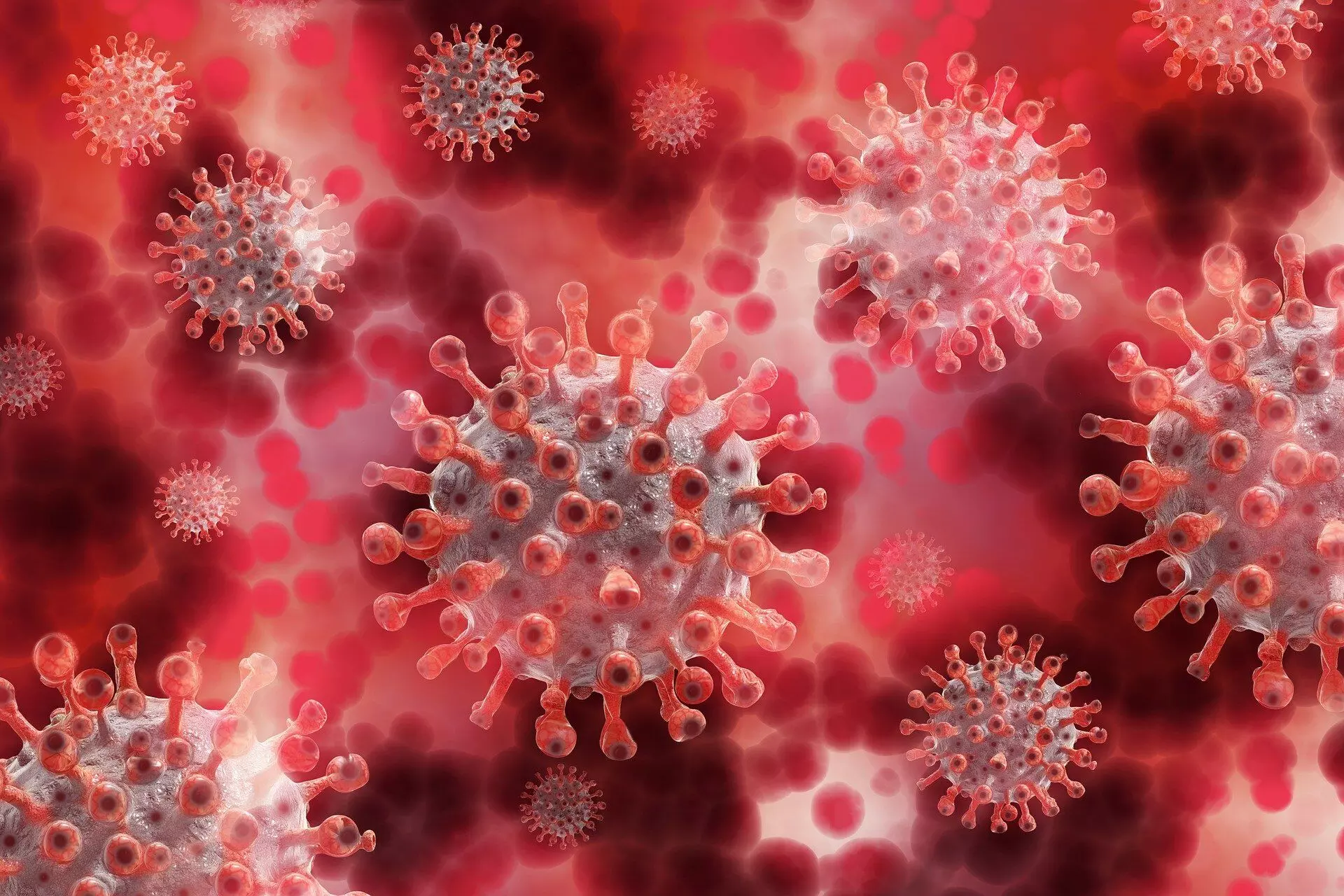 अस्थमा की दवा भी कोविड से लड़ने में कारगर: शोध