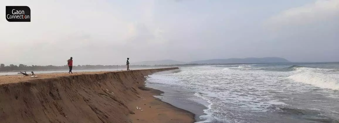 Cyclone Asani Impact: Thousands of nests of the endangered Olive Ridley washed away