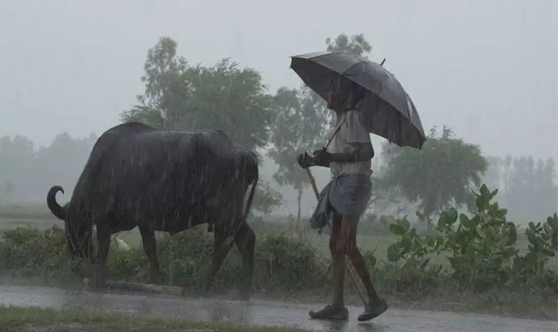 IMD forecasts normal monsoon, rainfall in rainfed agriculture regions expected to be above normal