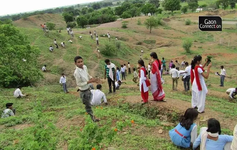 Madhya Pradesh: 142 hectares of bare hills at Patna Tamoli village, Panna, are now home to a forest