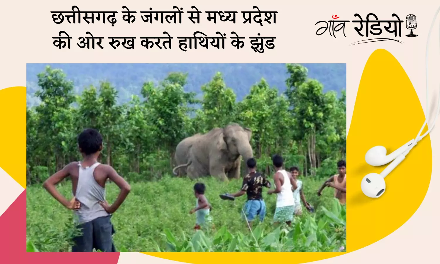 Gaon Radio: क्यों छत्तीसगढ़ के जंगलों से मध्य प्रदेश की तरफ बढ़ने लगे हैं हाथियों के झुंड