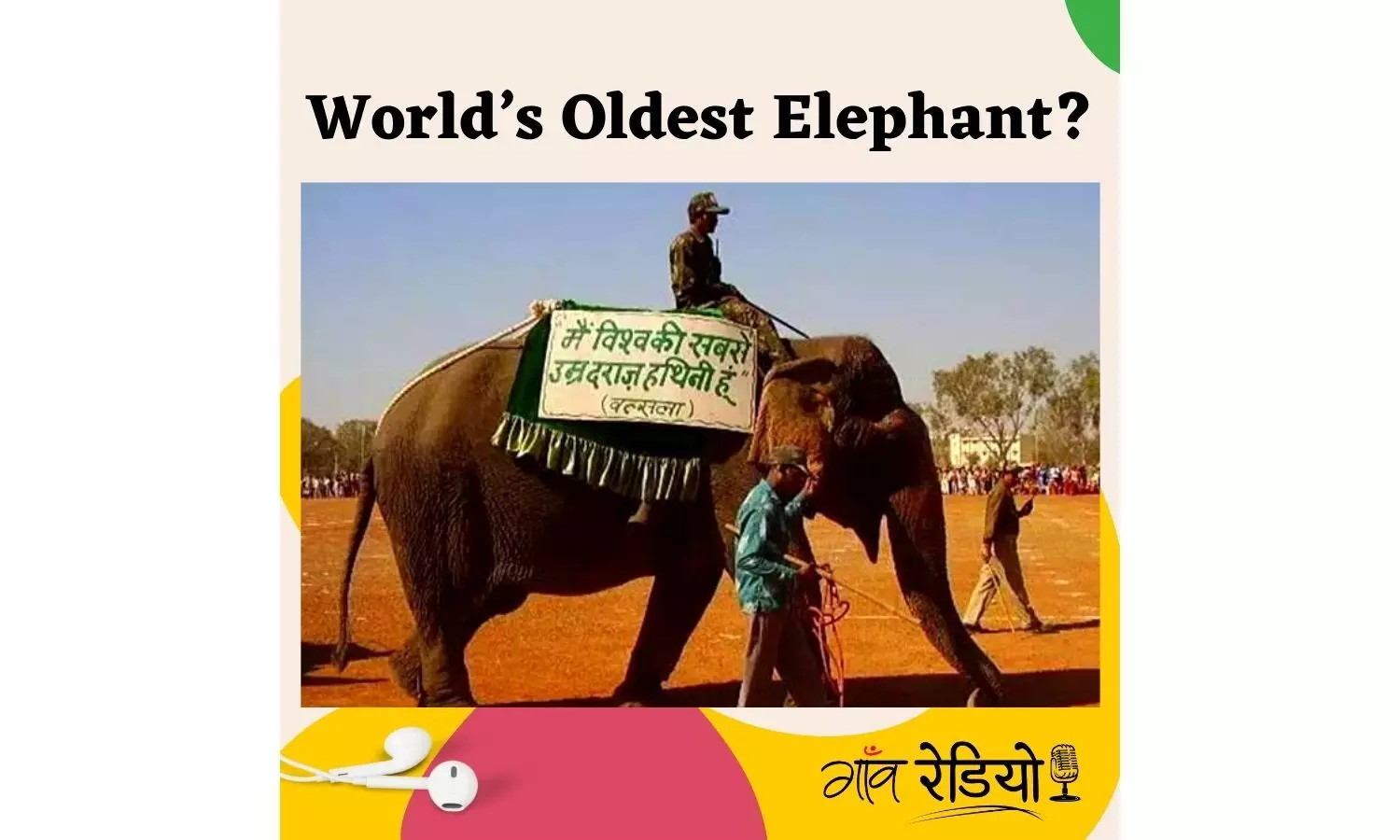 Gaon Radio: Meet Vatsala, arguably the oldest elephant in the world