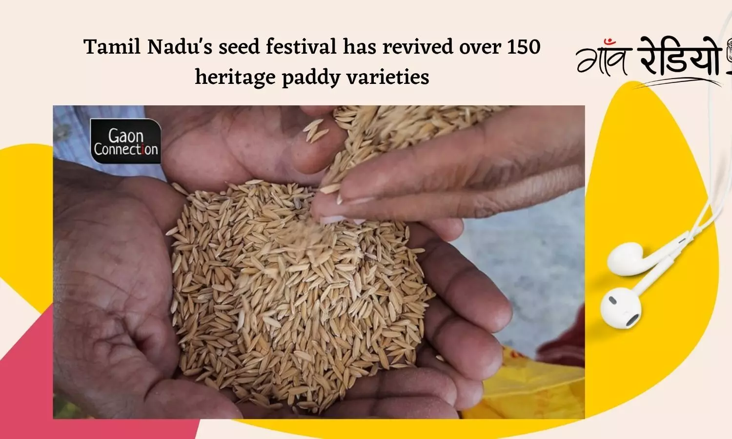 Gaon Radio: Listen about Tamil Nadus seed festival that has revived over 150 heritage paddy varieties