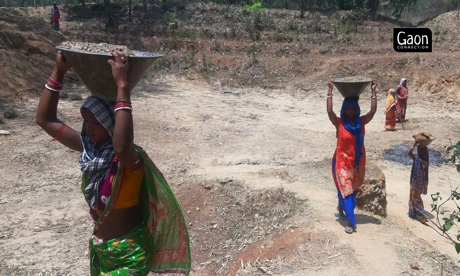 Inter-cropping under the MGNREGA convergence scheme is providing livelihoods and improving health in Jharkhand