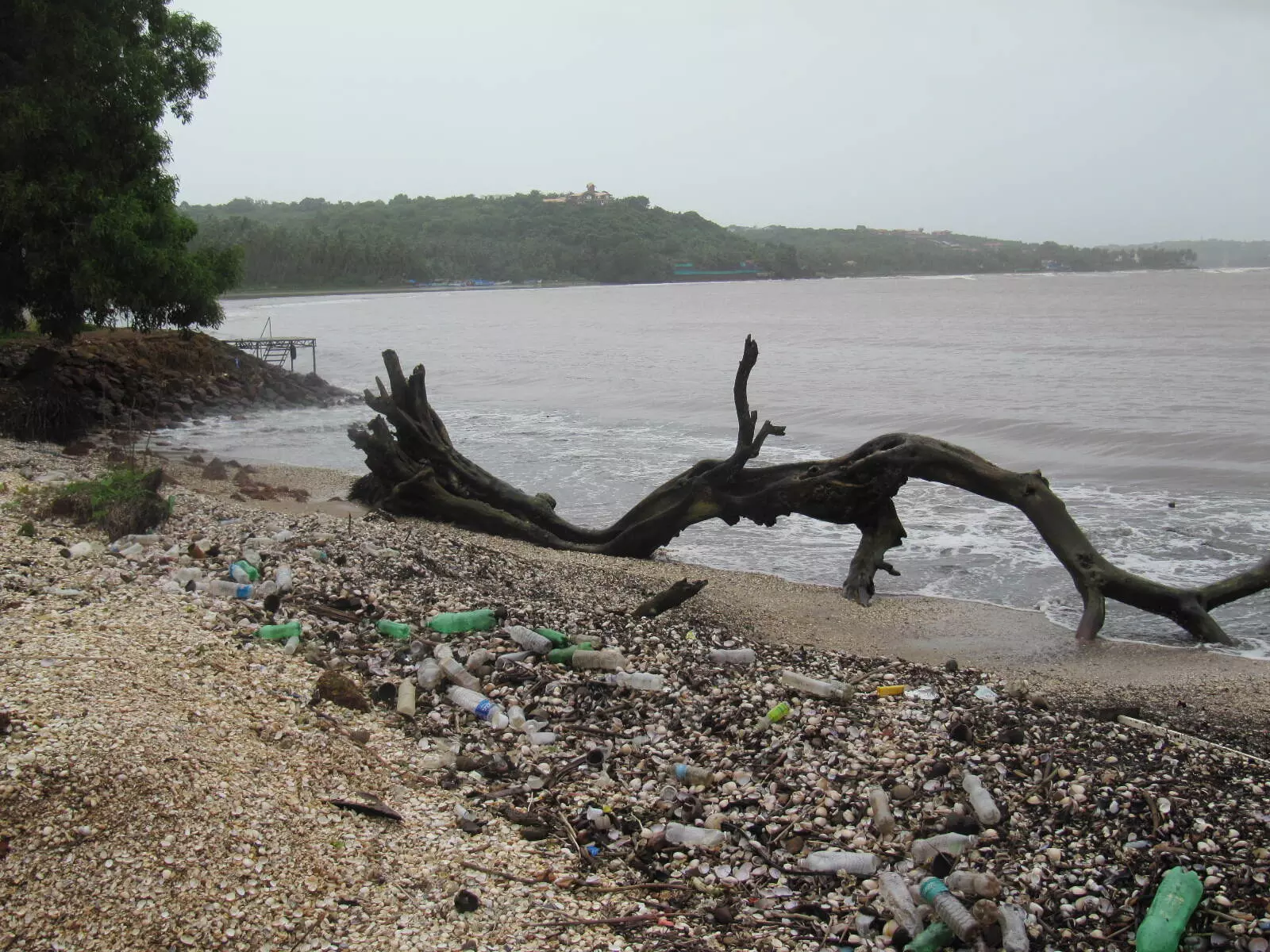भारत में शुरू हुआ समुद्र तटीय स्वच्छता का महा-अभियान