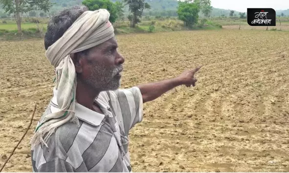 बुंदेलखंड में किसानों को सता रहा सूखे का डर; धान और दलहन की फसल हो रही प्रभावित