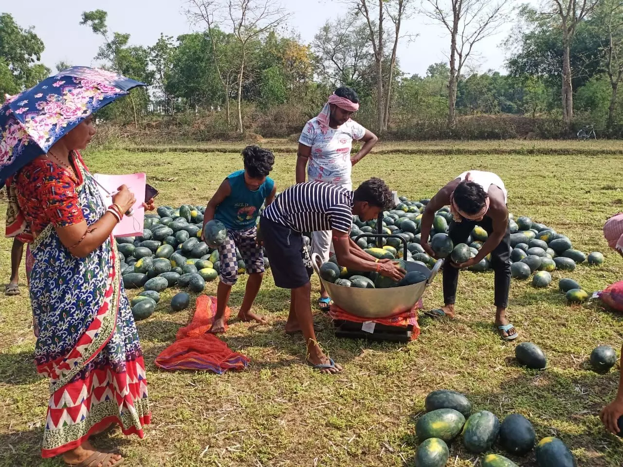 तरबूज की खेती और एक महिला किसान कंपनी की सफलता की कहानी