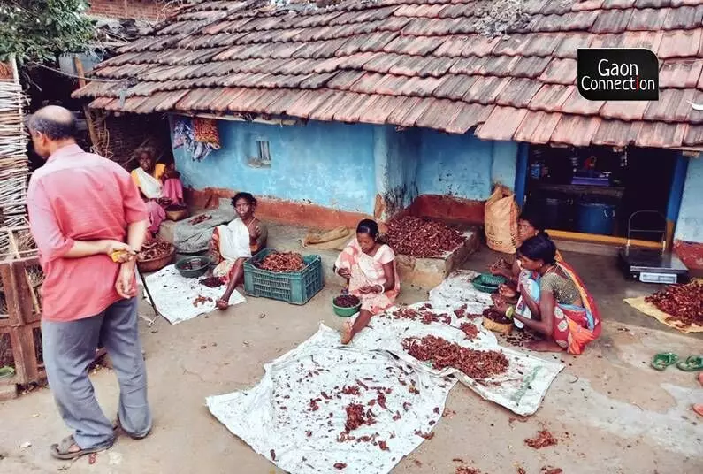 Tamarind cakes aid incomes of tribal women in Odishas Rayagada
