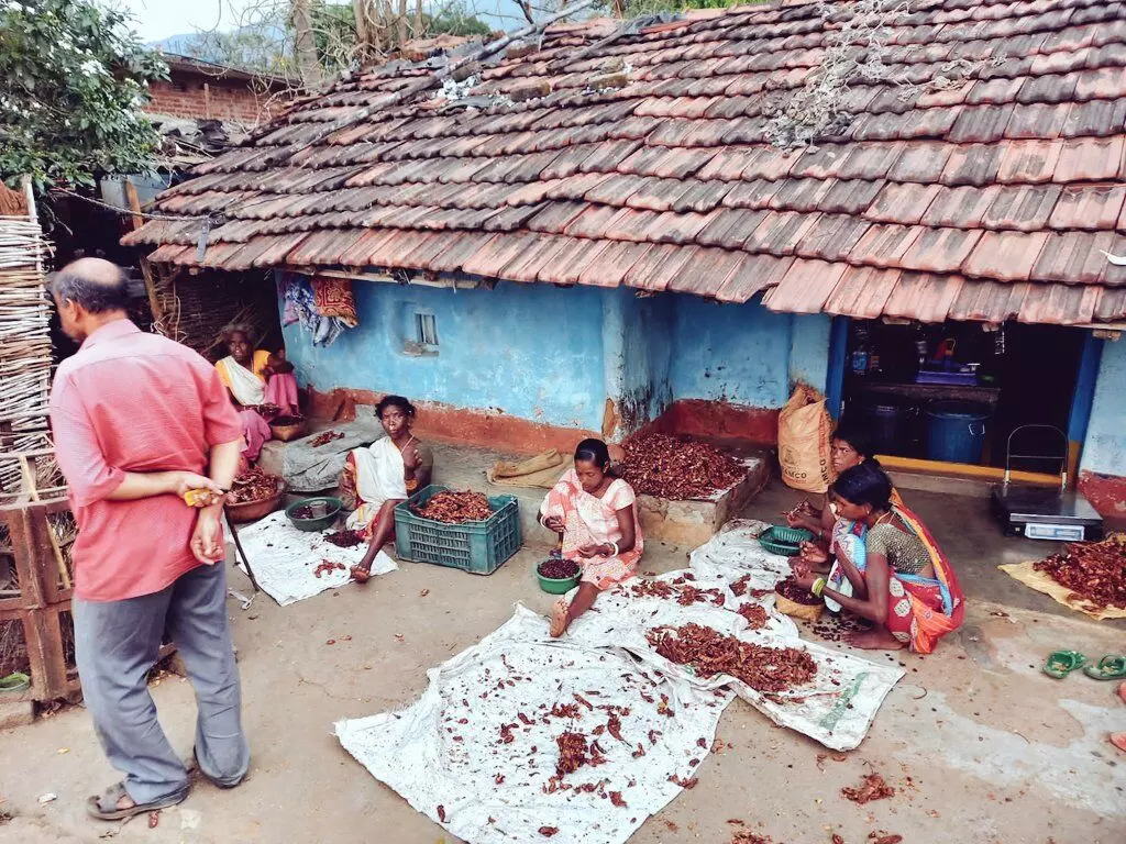 इमली केक बना ओडिशा की आदिवासी महिलाओं की कमाई का जरिया