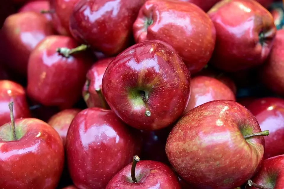Cold storage facilities could cut immense losses for apple farmers in Chamoli, Uttarakhand