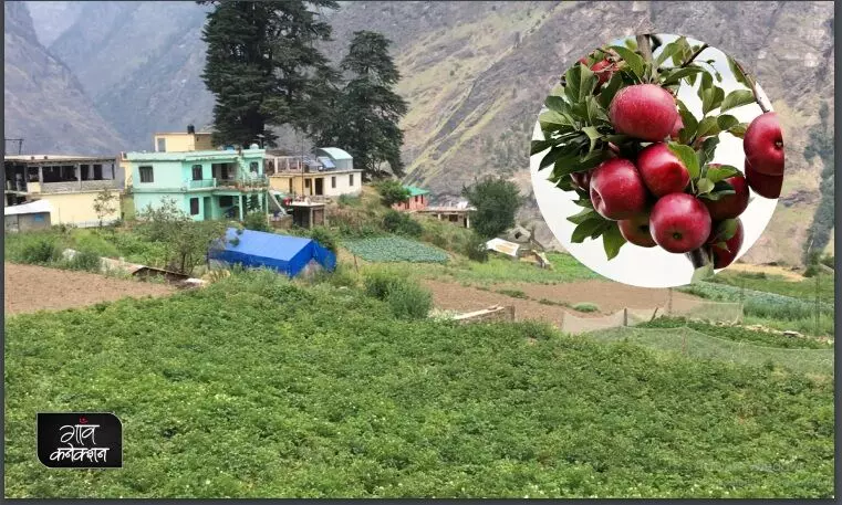 किसानों को नुकसान से बचा सकती है उत्तराखंड के पहाड़ी जिले चमोली में कोल्ड स्टोरेज की सुविधा