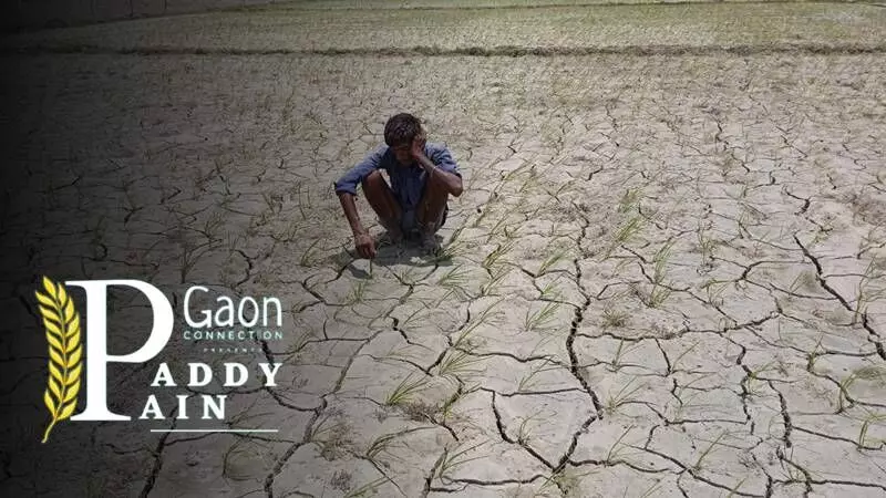 After a drop in wheat production due to early heatwaves, now paddy crop likely to be hit by deficient rainfall