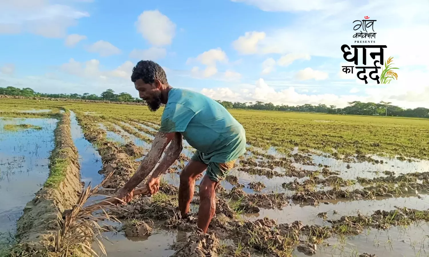 122 सालों में सबसे खराब बाढ़ झेलने के बाद बांग्लादेश के कई क्षेत्रों में सूखे की स्थिति, धान की फसल बुरी तरह प्रभावित
