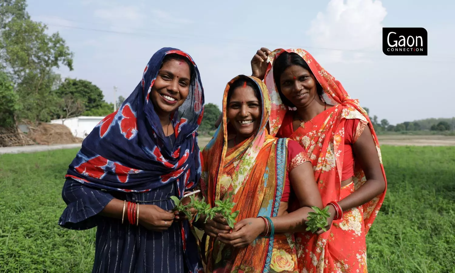 Mentha farmers in Uttar Pradesh learn how to double their income