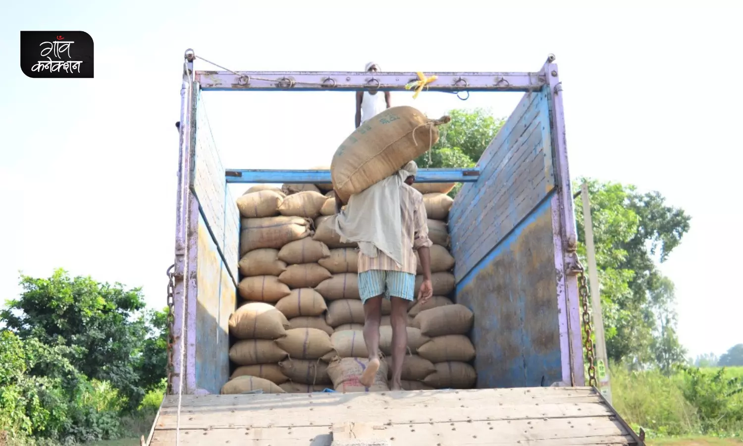 क्या भारत चावल के निर्यात पर प्रतिबंध लगाएगा? क्या कहते हैं चावल के व्यापारी और निर्यातक