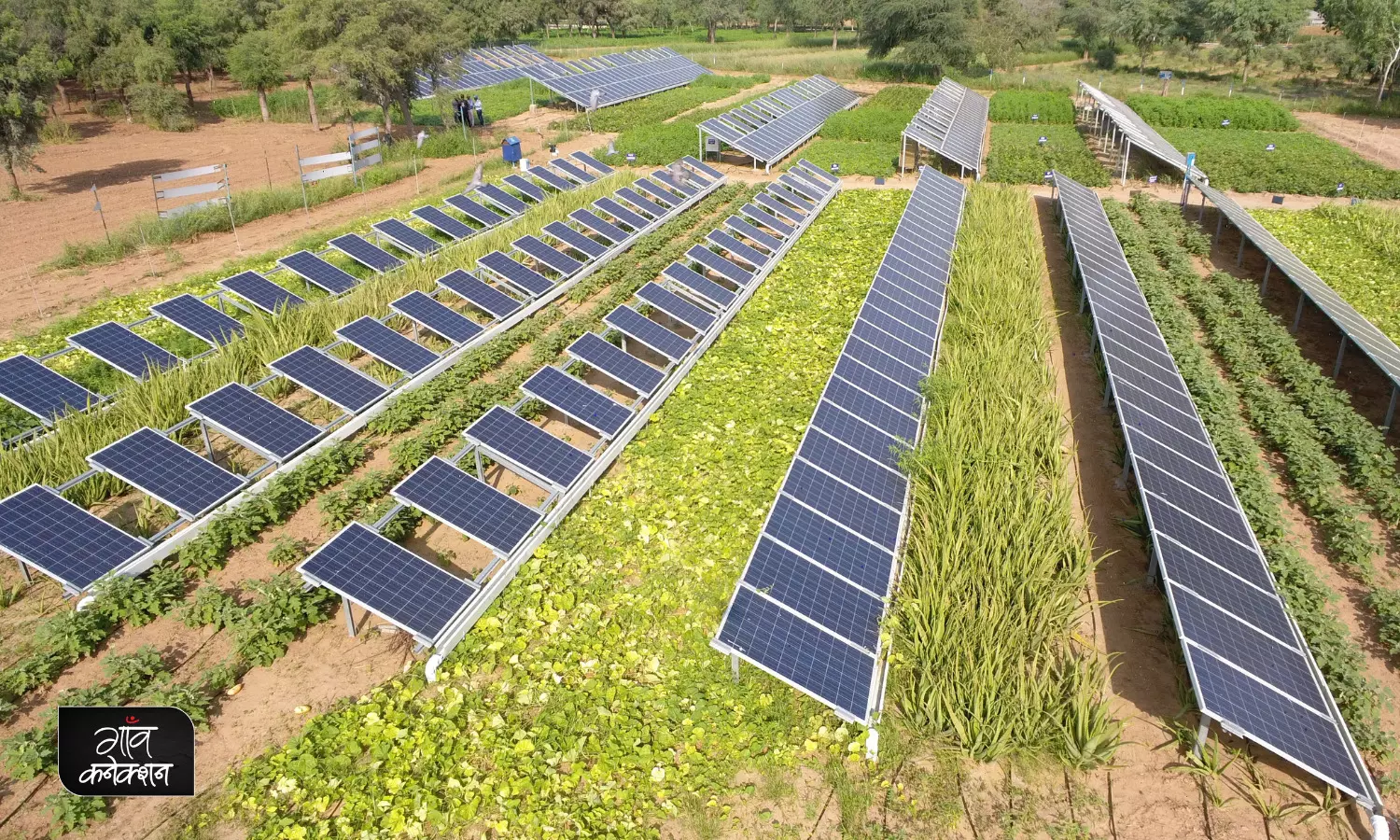 खेती और चरागाह की जमीन को नुकसान पहुंचाए बिना संचालित हो रहीं हरित ऊर्जा की सौर परियोजनाएं