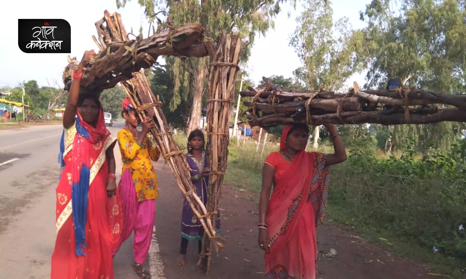 सिर पर 30-40 किलो लकड़ियां लादकर 13 किलोमीटर पैदल चलने के बाद मिलते हैं सिर्फ 150 रुपए- ऐसी ही है आदिवासी महिलाओं की जिंदगी