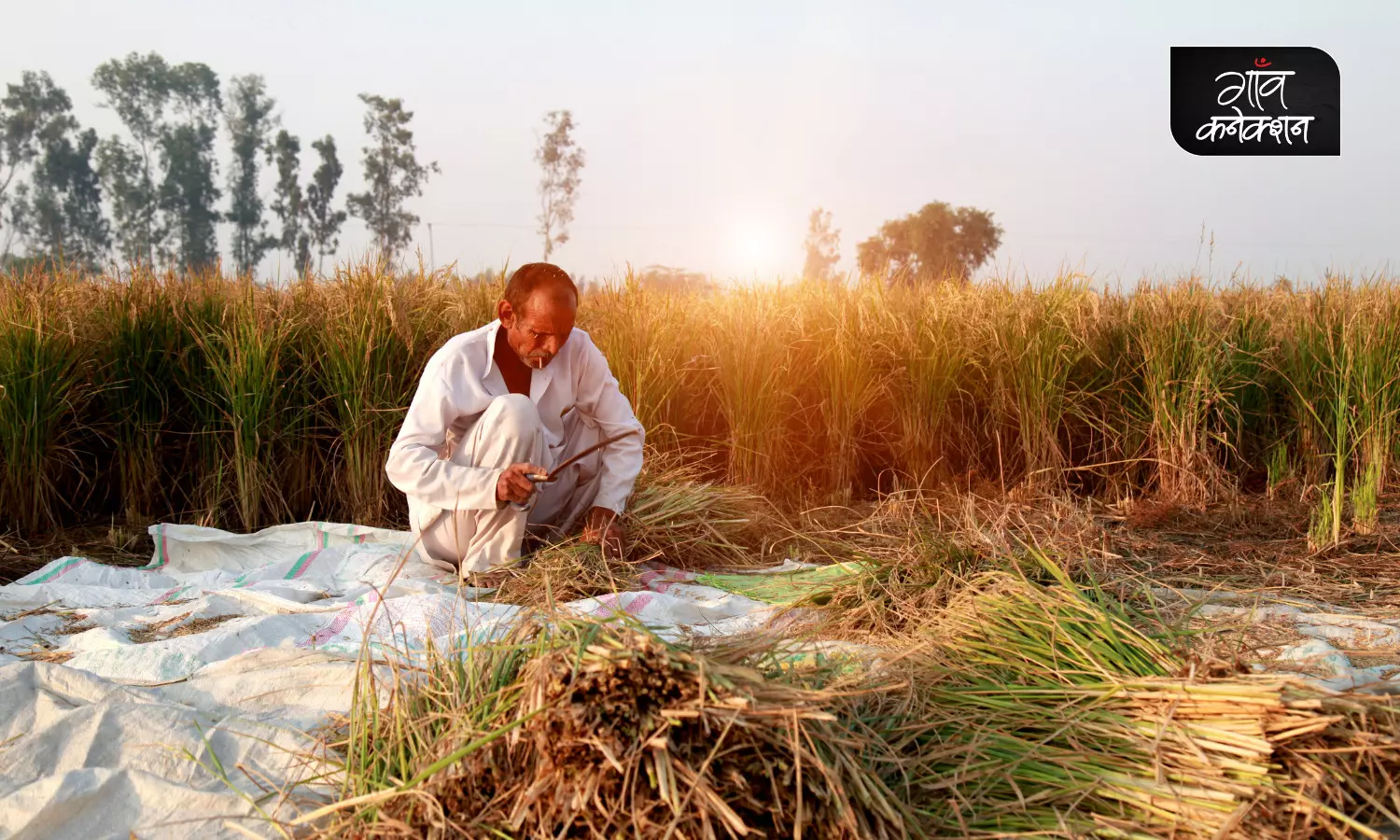भारतीय कृषि अनुसंधान संस्थान के वैज्ञानिकों ने शुरू की किसान संपर्क यात्रा, किसानों से जानेंगे उनके अनुभव