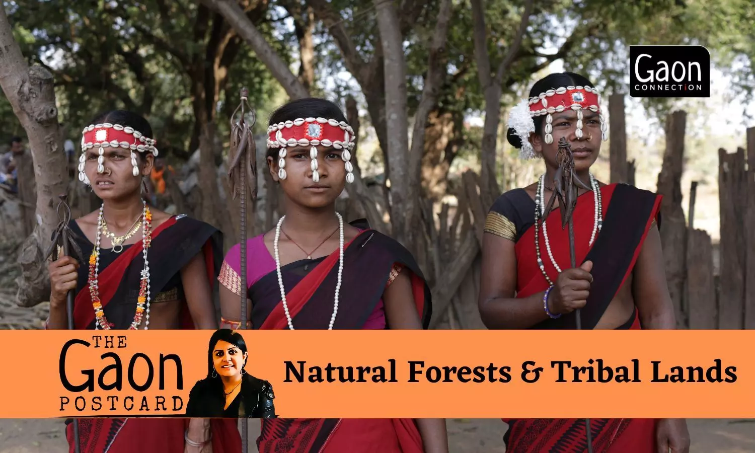 Forests thrive in tribal areas. And that isnt just coincidence.