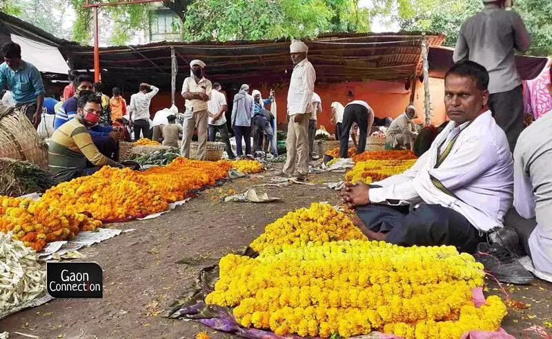The flower growers of Varanasi hope to see sales bloom during Diwali