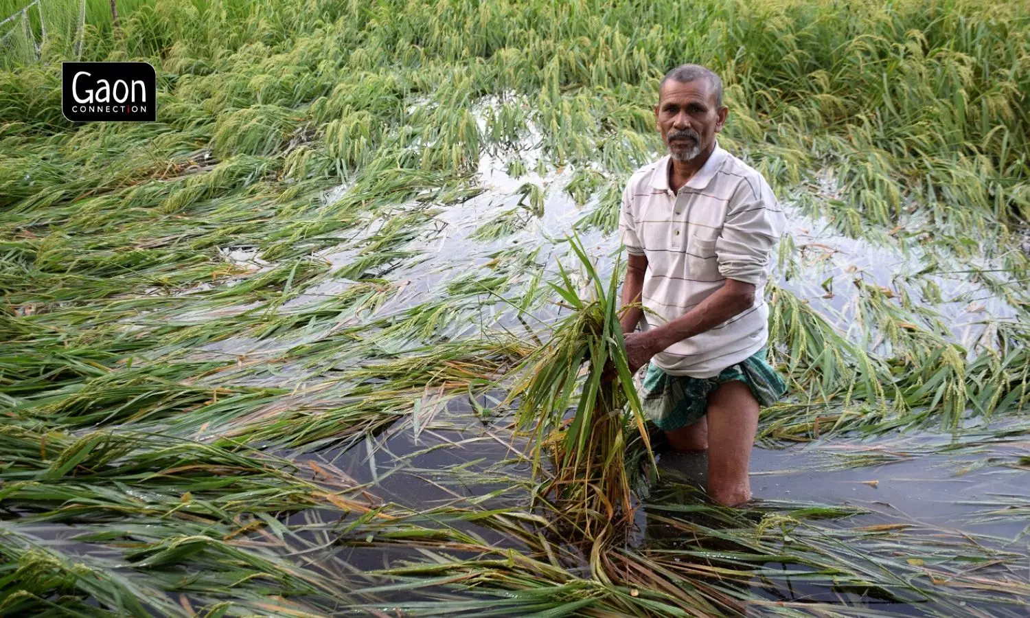 Early floods followed by drought and now Cyclone Sitrang — farmers in Bangladesh hit from all sides