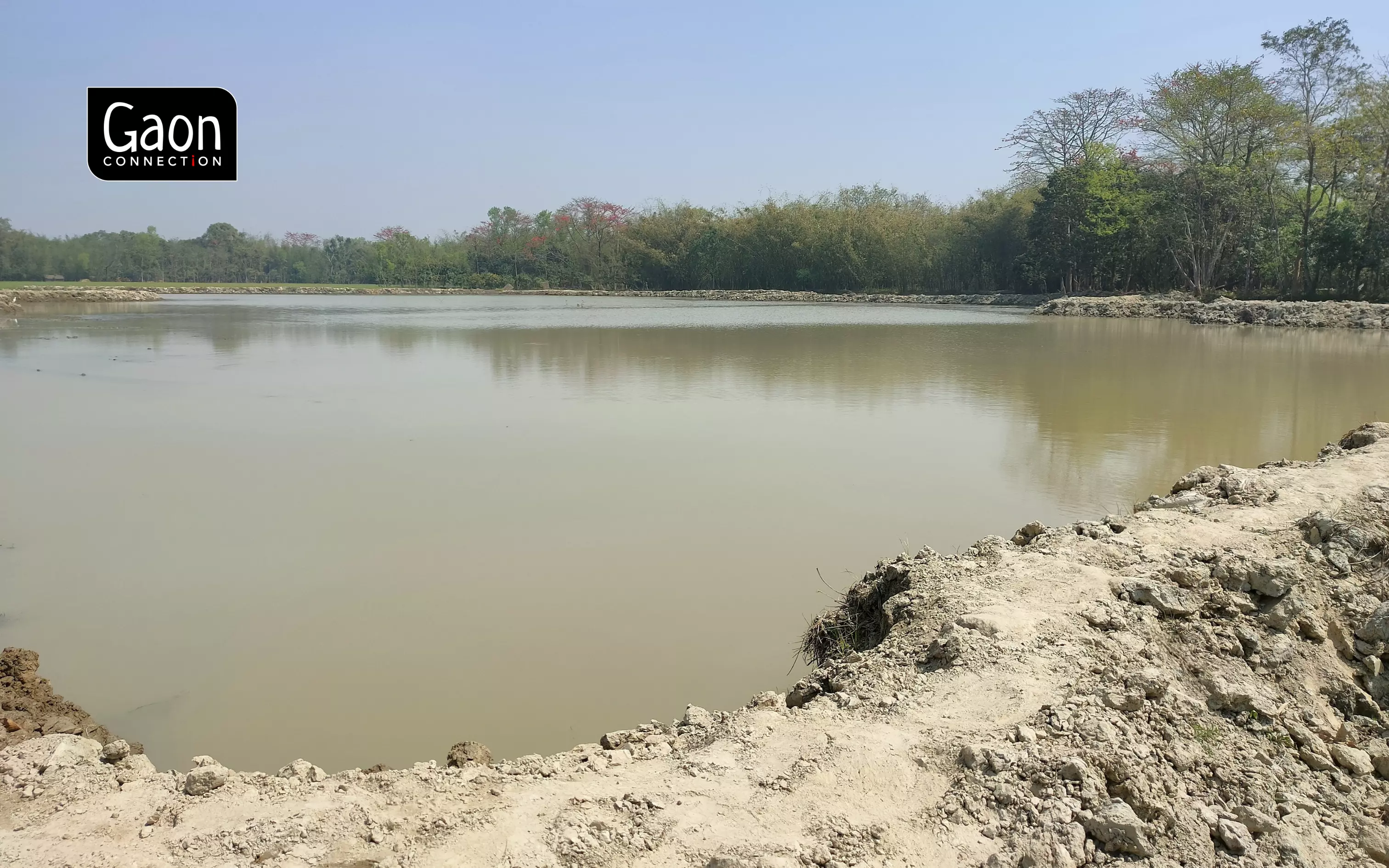 Nearly 40 per cent of the cultivable area in the village is under water and that is the reason most of farmers decided to cultivate fox nuts. Photo by Rahul Jha