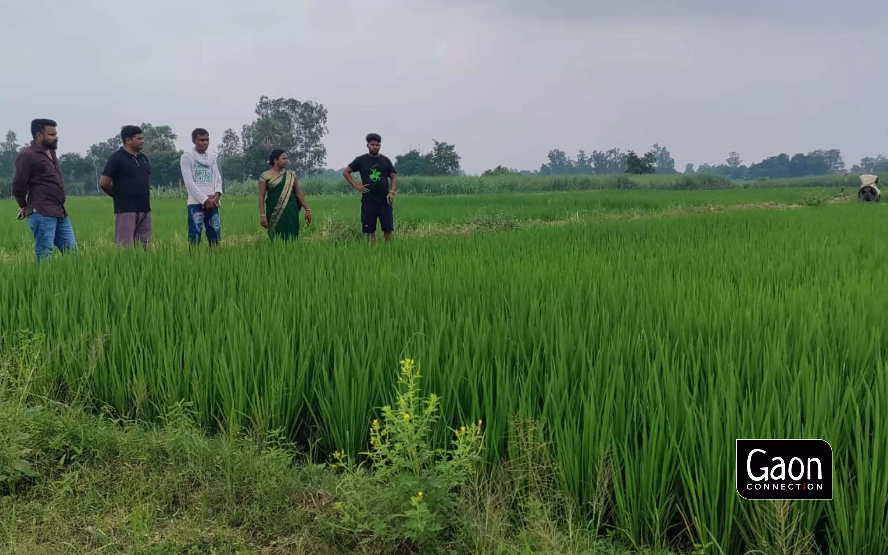 Uttar Pradesh: BomLife bio-fertiliser helping increase crop production in Basti