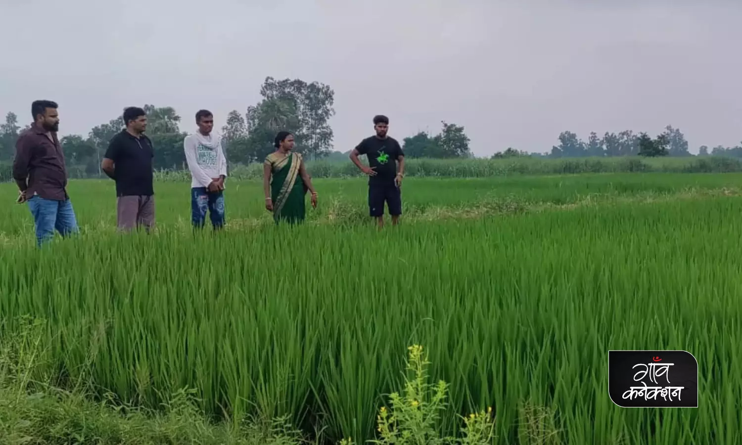उत्तर प्रदेश: बॉमलाइफ बायो-फर्टिलाइजर की मदद से बढ़ रहा है फसल उत्पादन