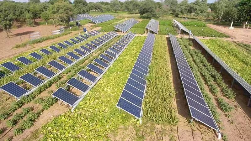 Rural areas to benefit on priority as UP plans to set up 18 solar cities
