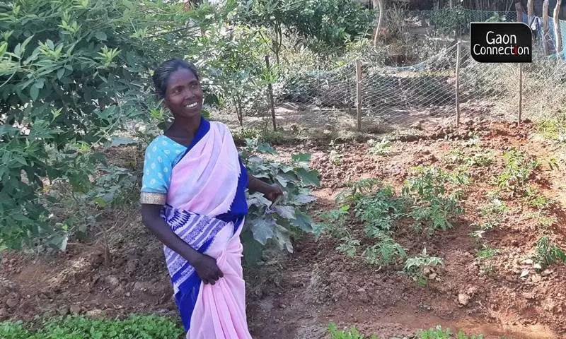 Training in cultivation and animal husbandry empowers Birhor tribal women in Jharkhand