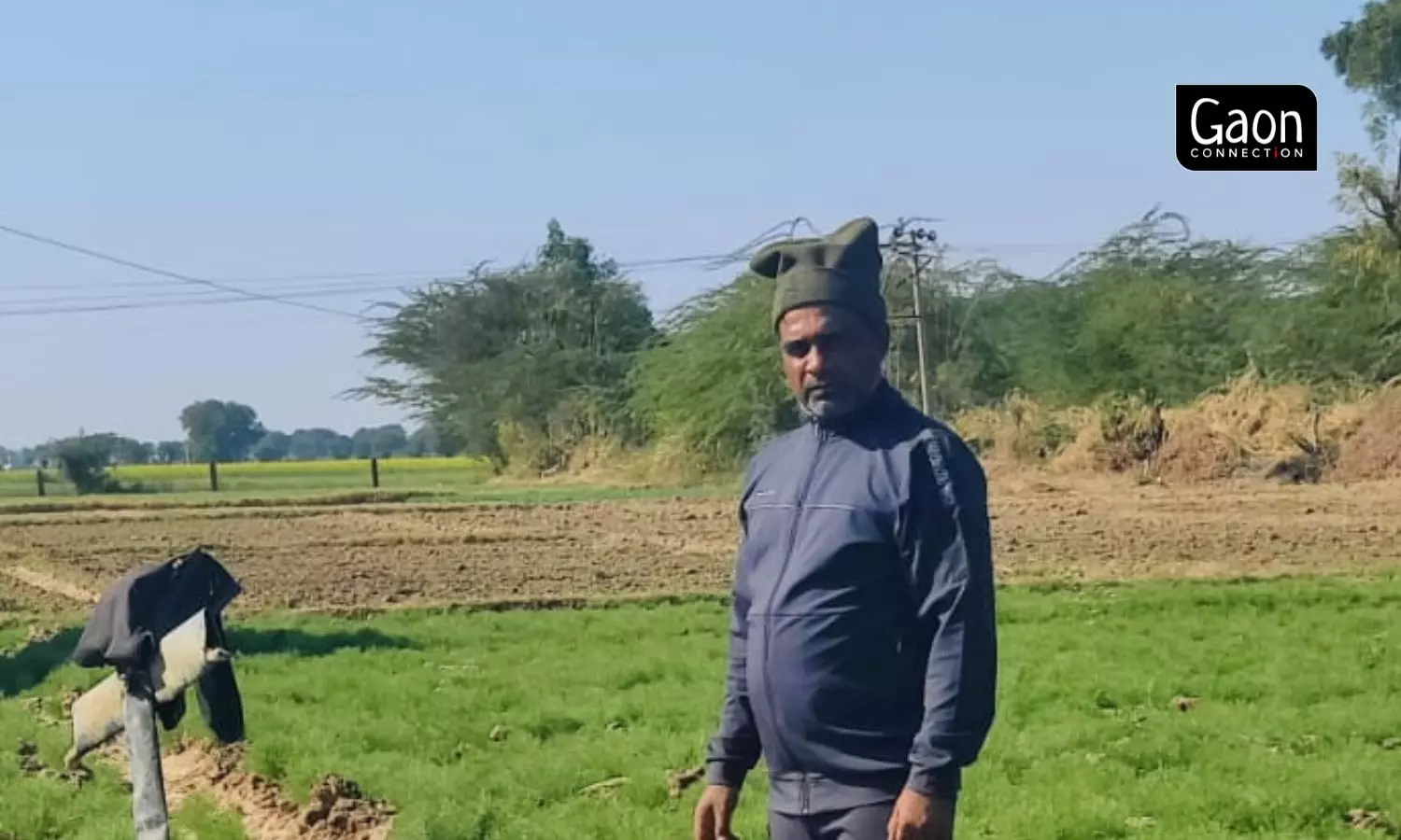 Pradeep Khoja from Nimbol village in Jaitaran tehsil of Pali district has reduced land under cumin cultivation from 2.5 hectares last year to 1.2 hectares this year. Photo by arrangement.
