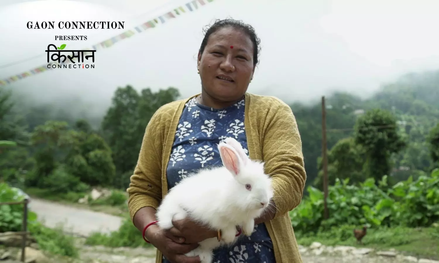 Angora Rabbit Project Brings Windfall to Farmers in Sikkim