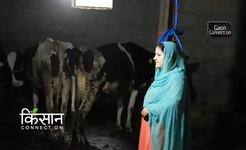 Dairy Farming Gets a Fillip in Shopian, Kashmir