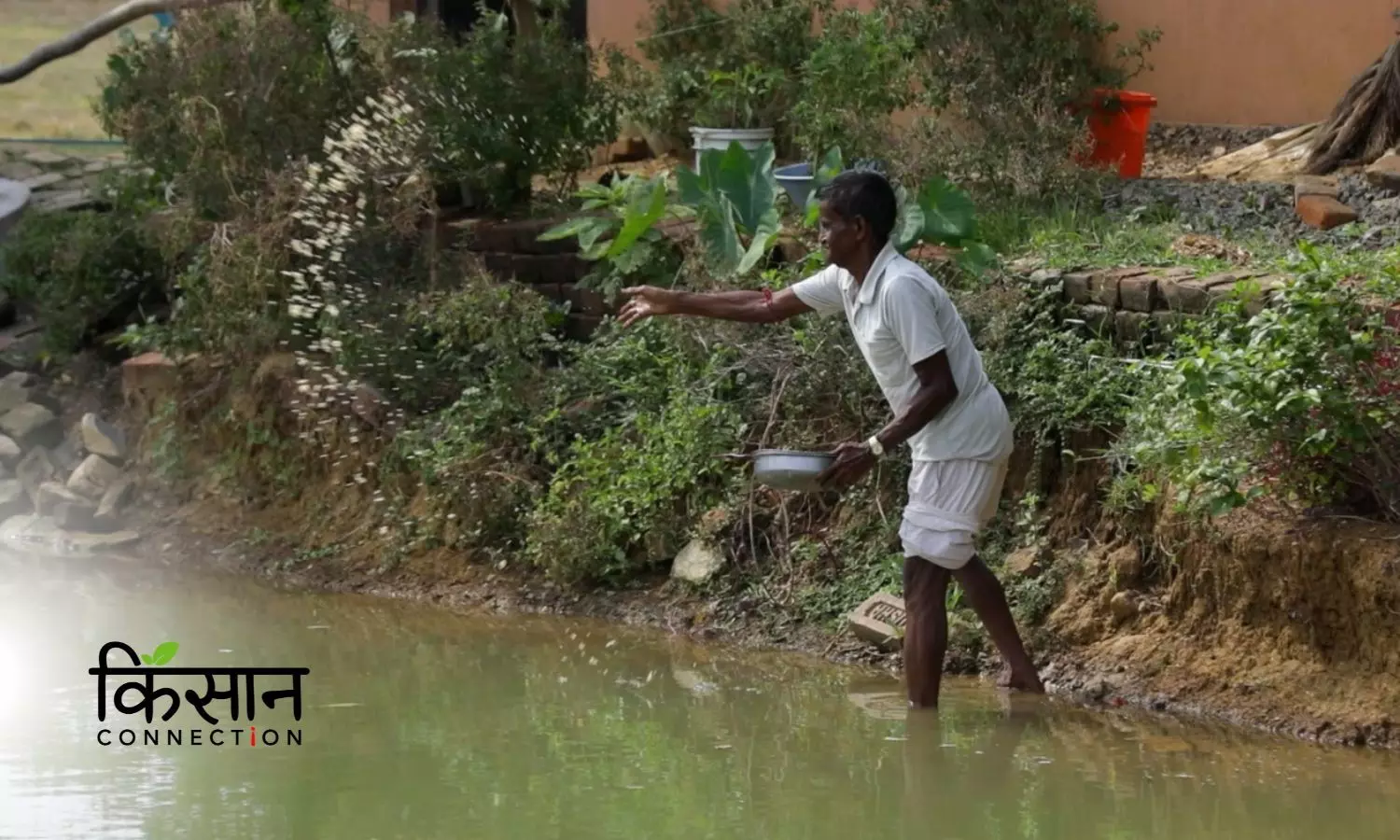 Fishery, Duckery, Veg & Fruit Cultivation – Integrated Farming Transforming Lives of Small Farmers in Jharkhand
