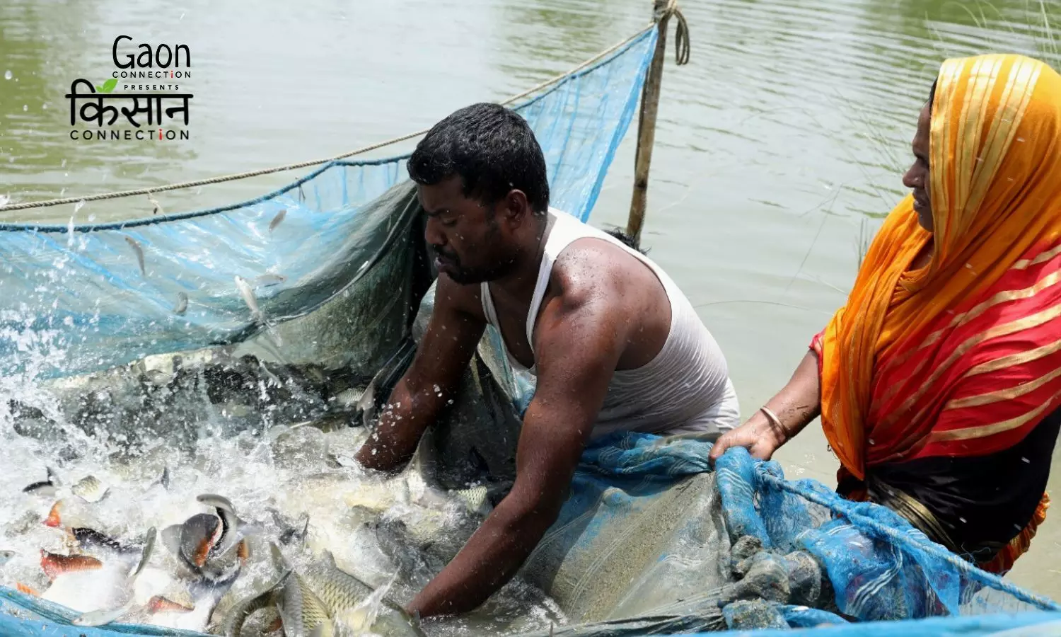 How an FPO in Barpeta, Assam, has left fish farmers swimming in profits