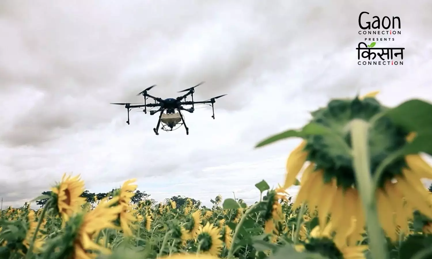 Bird’s-eye View: Drones optimising agricultural productivity