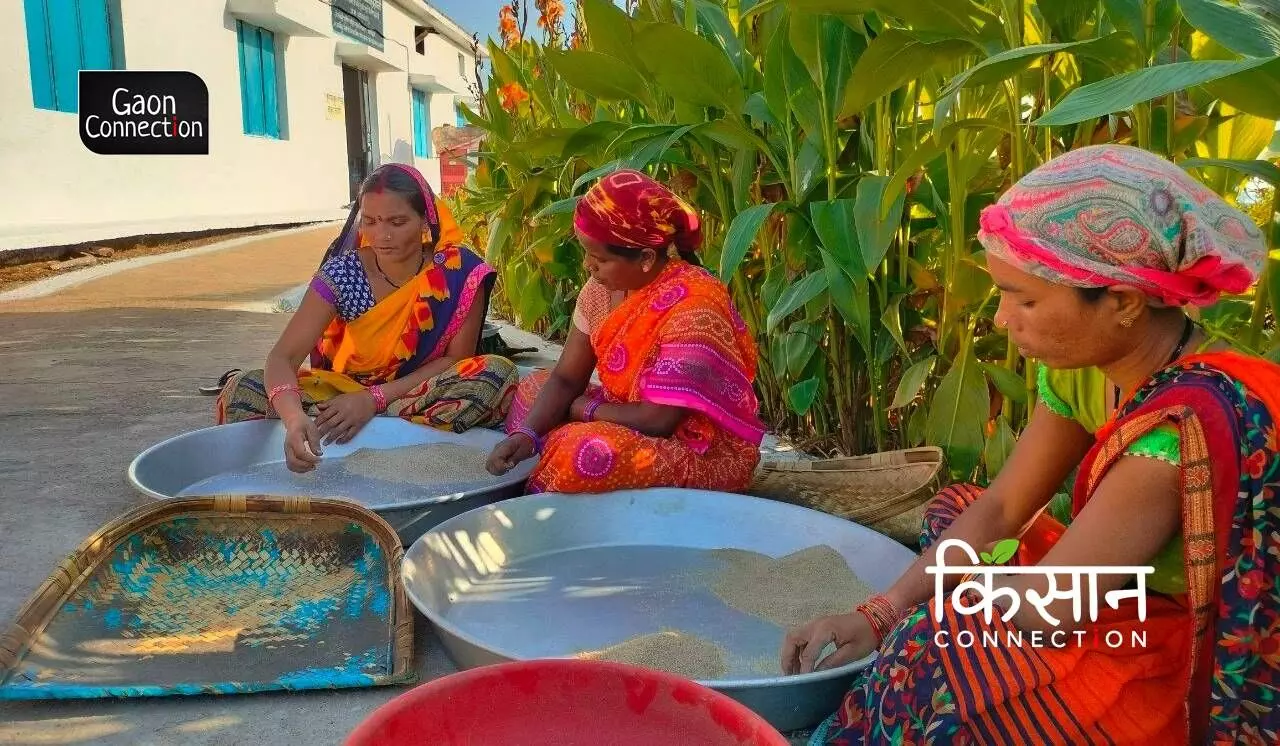 Gond and Baiga Tribe Women Help Revive Kodo-Kutki Millets in Madhya Pradesh