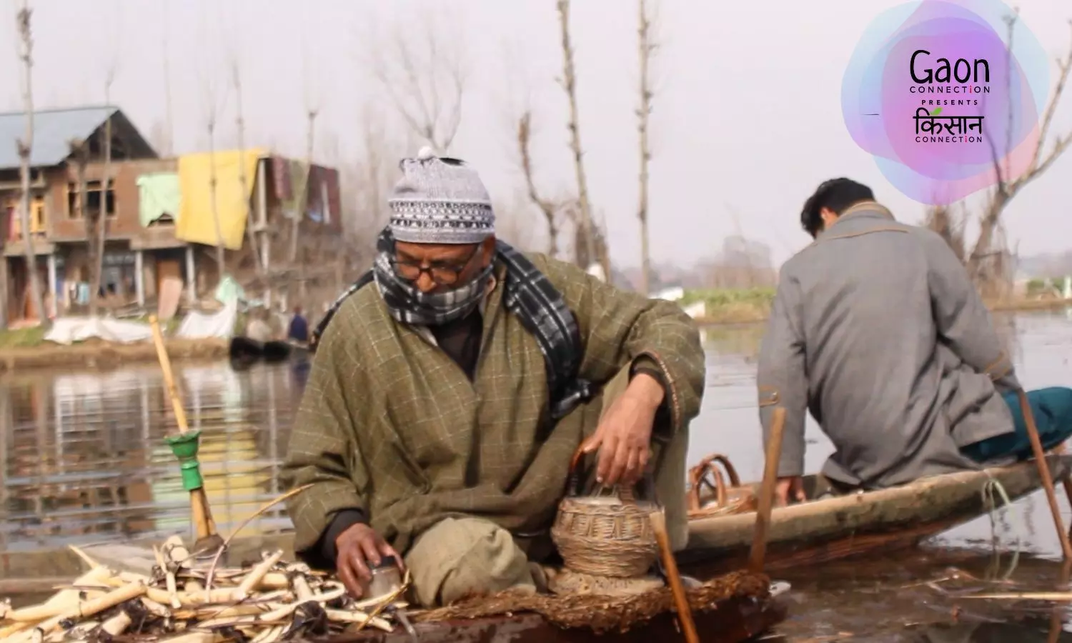 The Nadru Harvesters of Kashmir