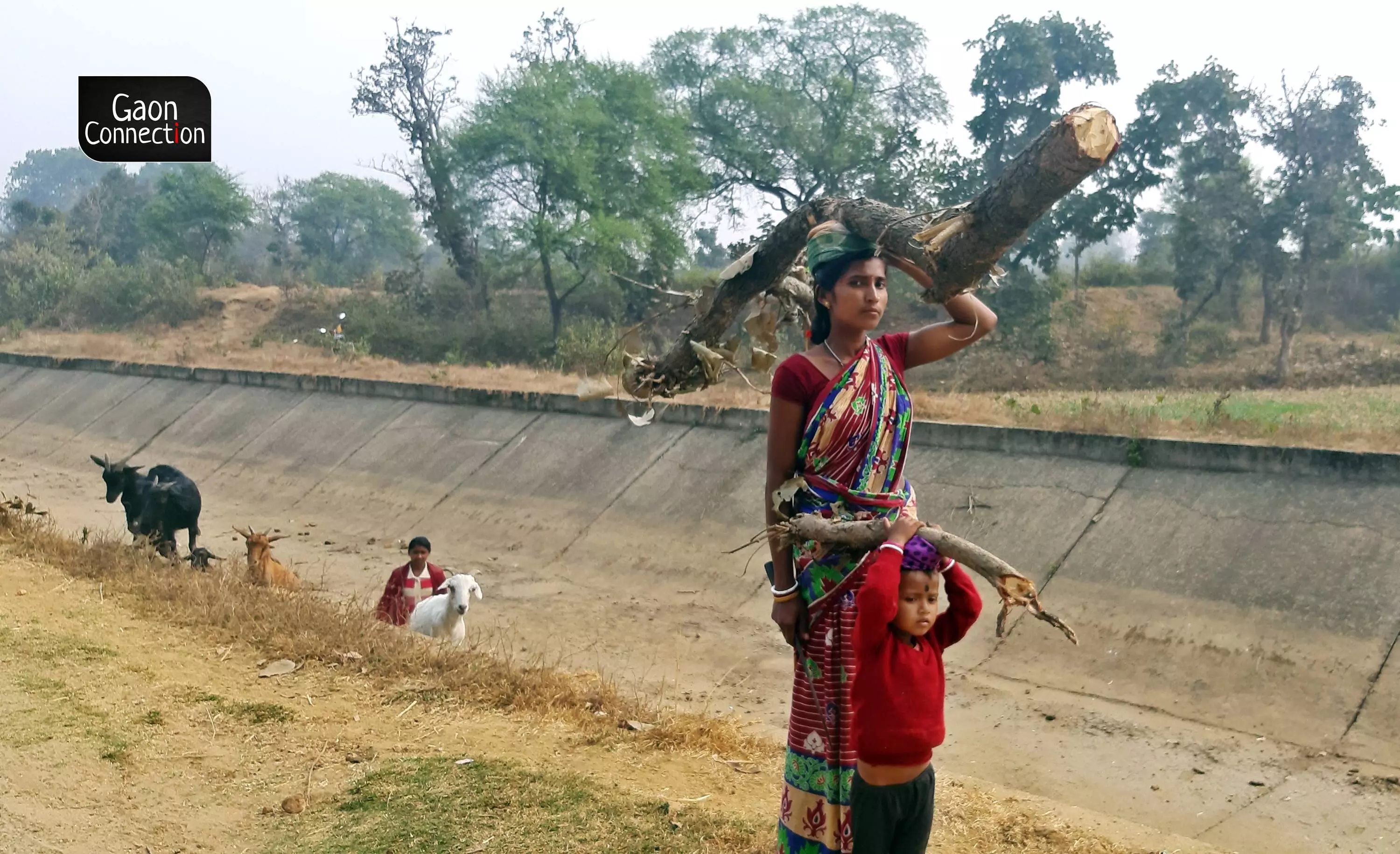 Jharkhand: Farmers Left High and Dry as Kanchi River Canal in Dire Need of Repairs