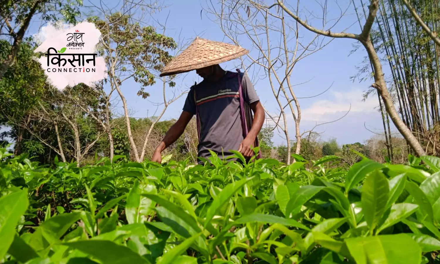 लकड़ियां बेची, आर्मी में जाने की तैयारी भी की लेकिन आज चाय की जैविक खेती ने बनाया सफल किसान