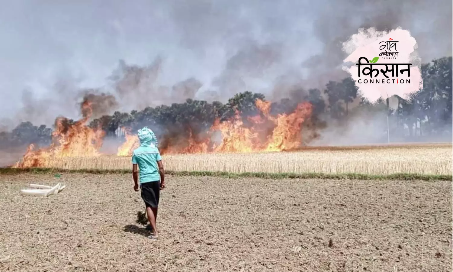 बिहार के गाँवों में अचानक क्यों तेज हो गई है तबाही की आग?