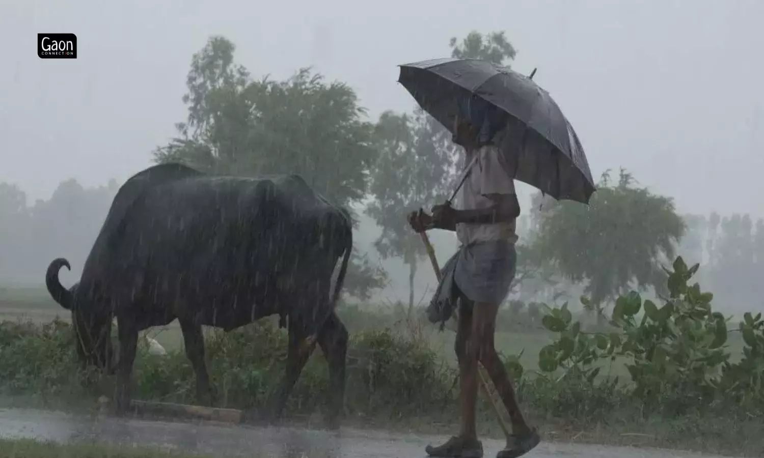 In Fresh Monsoon Update, IMD Reasserts Its Previous Forecast — With Reduced Error Margin