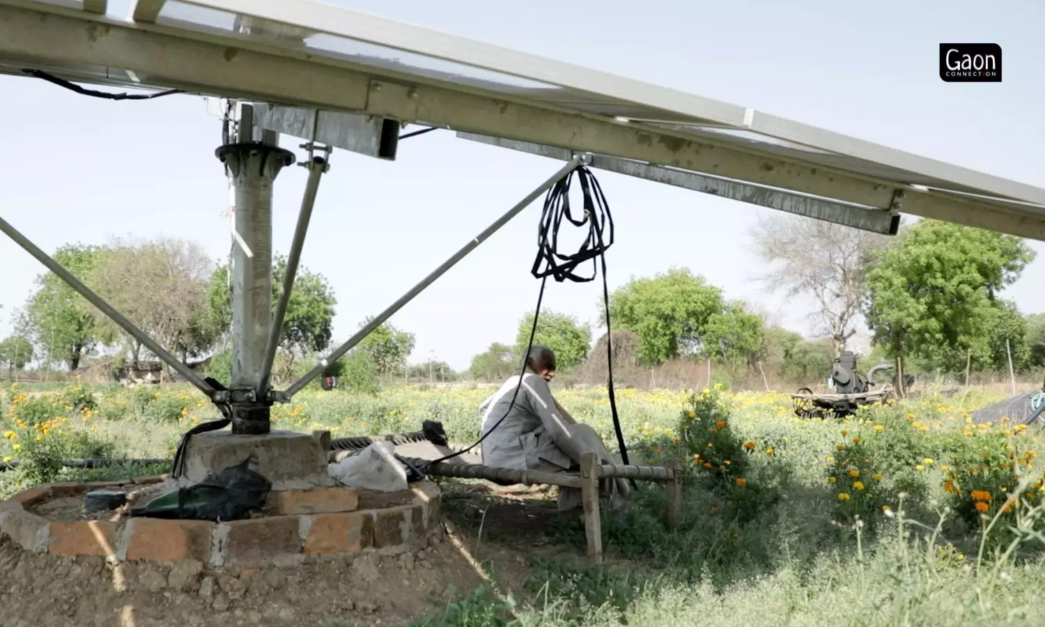 Six months in a year, solar pumps remain idle in Bundelkhand. Why not connect them to the grid?