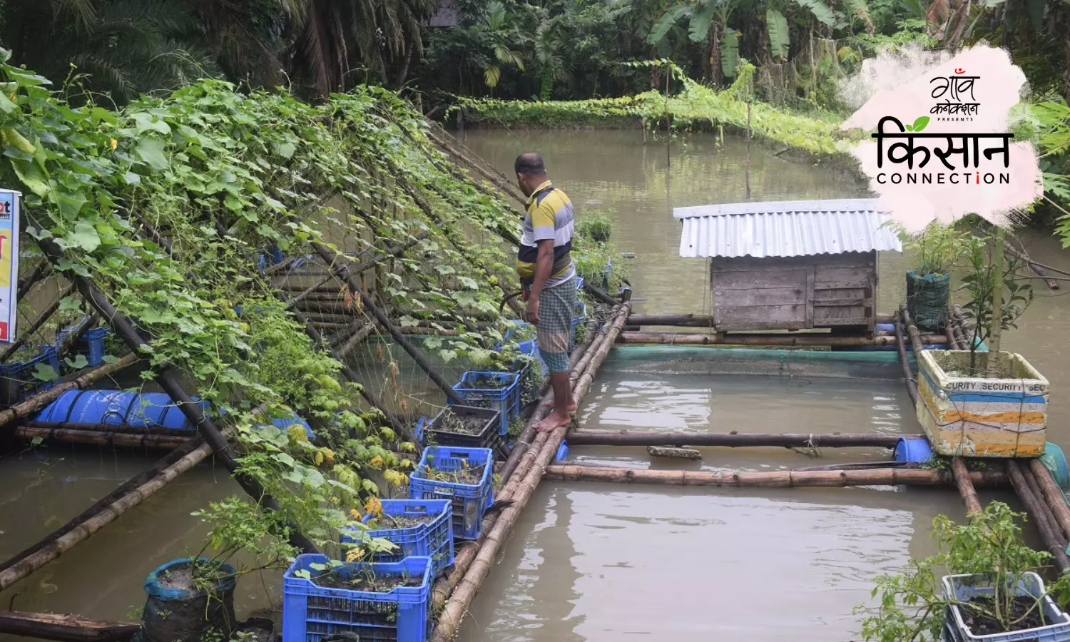 बांग्लादेश में कैसे खारे पानी और बँजर ज़मीन पर फ्लोटिंग से पूरे साल उग रही हैं सब्ज़ियाँ