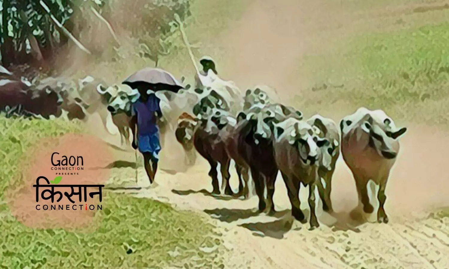 70-yo Ghanshyam Yadav walked 200 kms to keep his cattle alive; it’s an annual affair for farmers in south Bihar