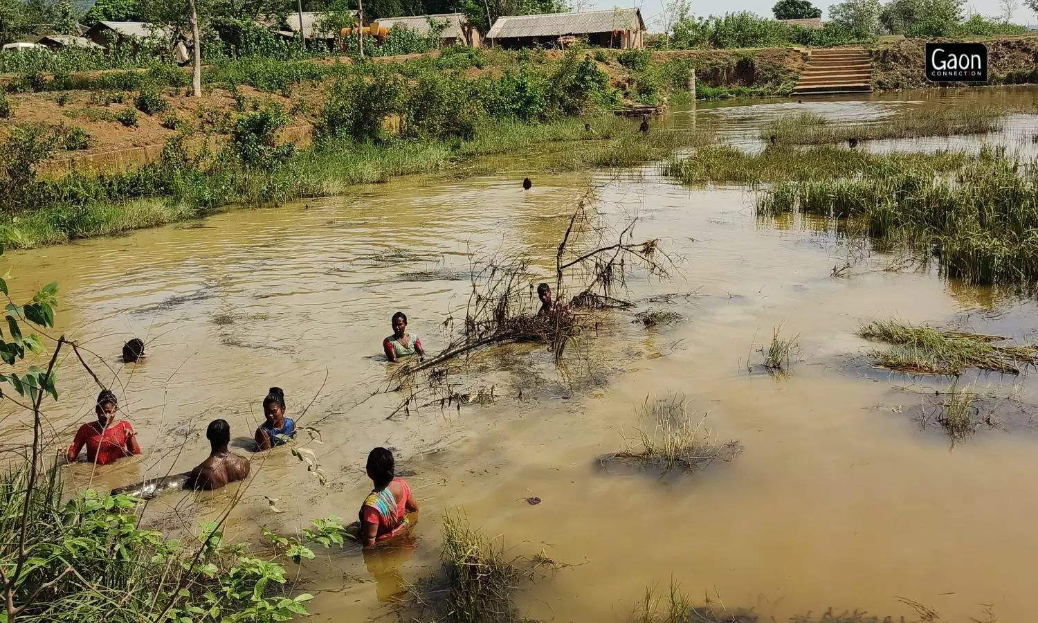 Odisha: Women of a tribal village in Jajpur revive a local pond, transform the lives of villagers