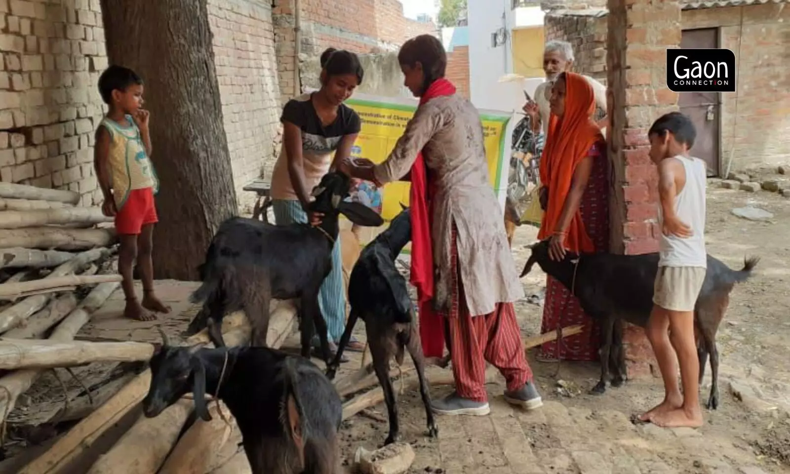 A mother and daughter trained as Pashu Sakhis are helping increase profits of goat rearers