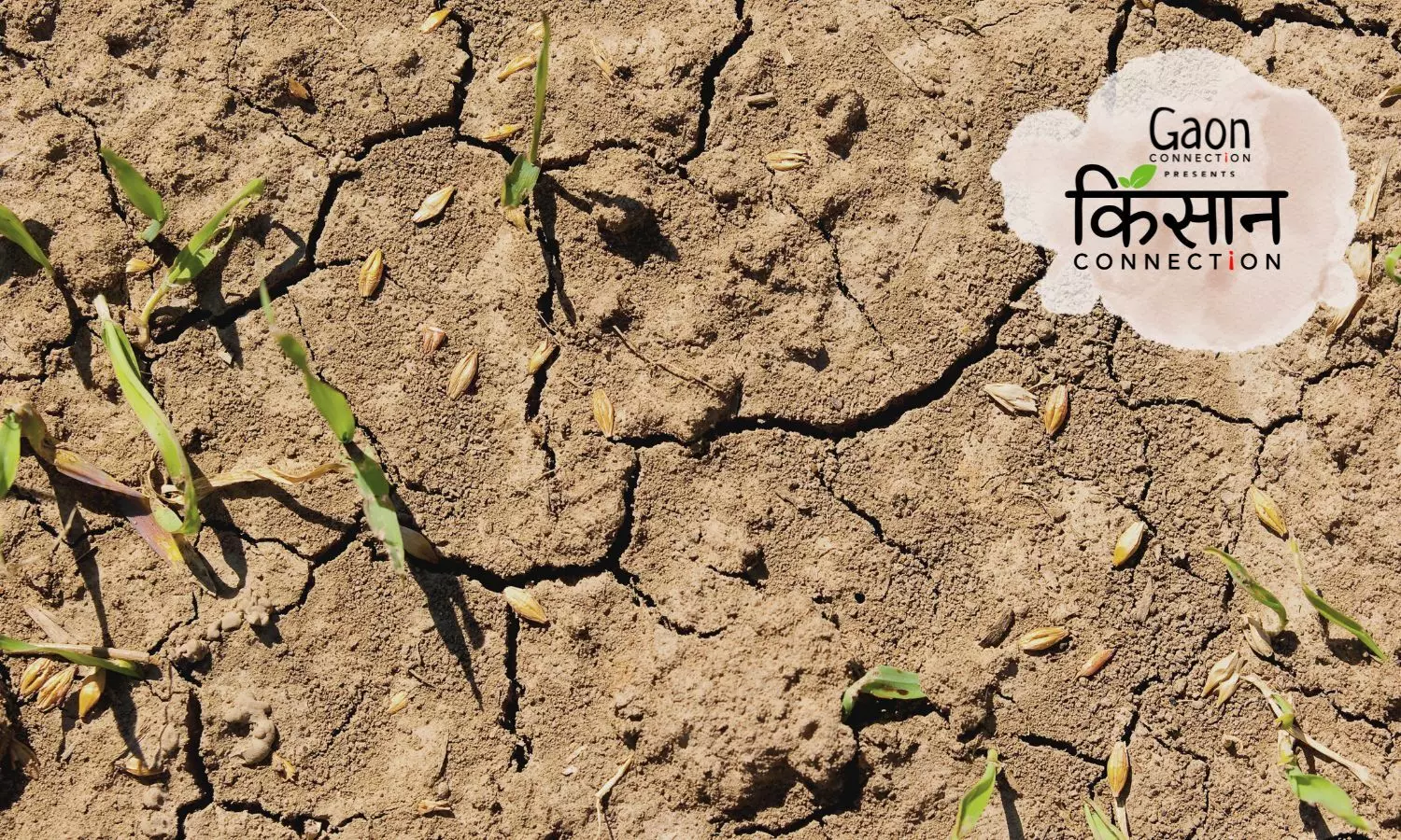 Farmer groups in Maharashtra demand declaration of drought; deficient monsoon rainfall a concern in Peninsular India