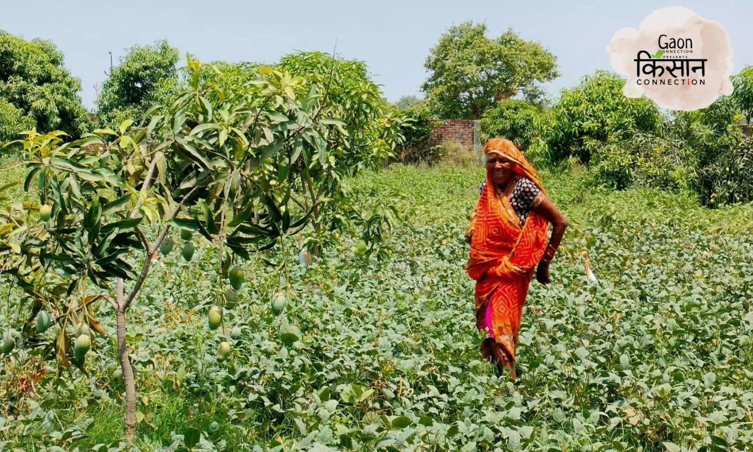 Rising heatwaves take a toll on women farm labourers; their health and wages are dropping. A ground report